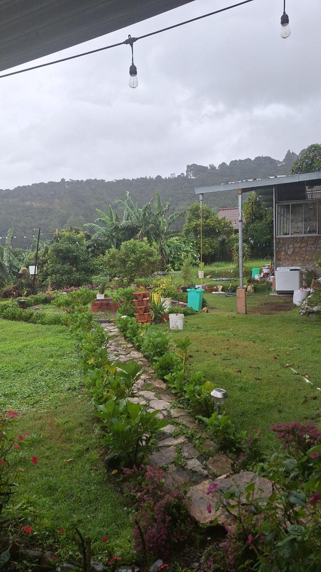 Hostal Vista Boquete Bajo Boquete Luaran gambar