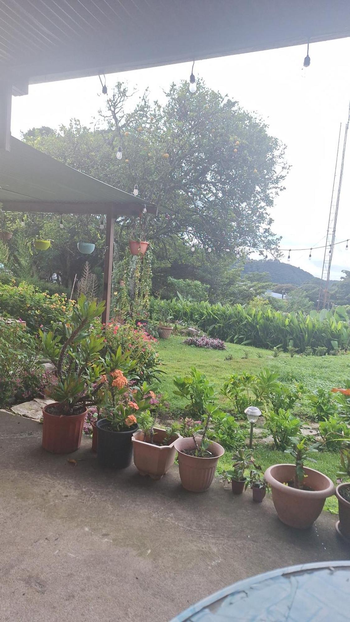 Hostal Vista Boquete Bajo Boquete Luaran gambar