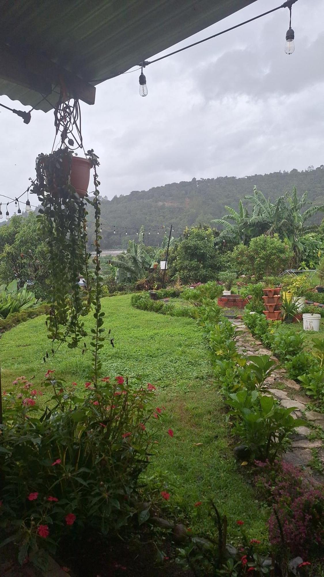 Hostal Vista Boquete Bajo Boquete Luaran gambar