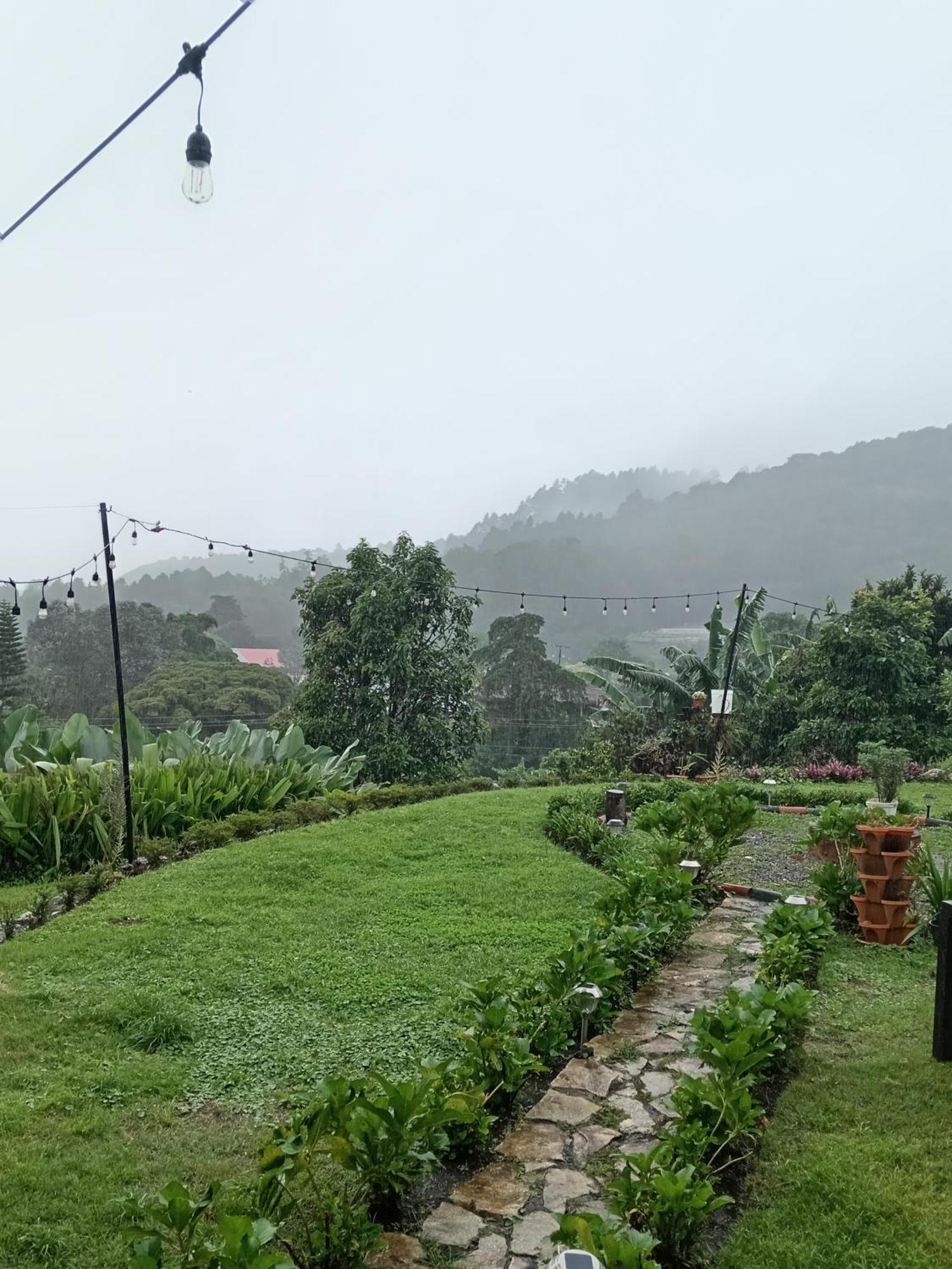 Hostal Vista Boquete Bajo Boquete Luaran gambar