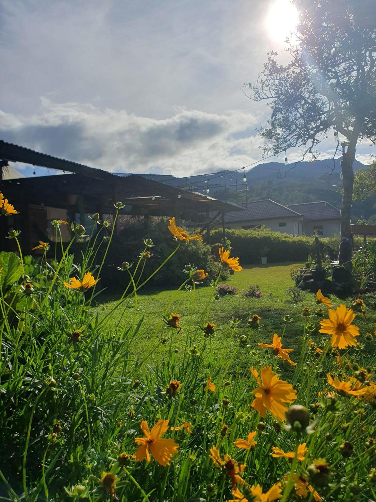 Hostal Vista Boquete Bajo Boquete Luaran gambar