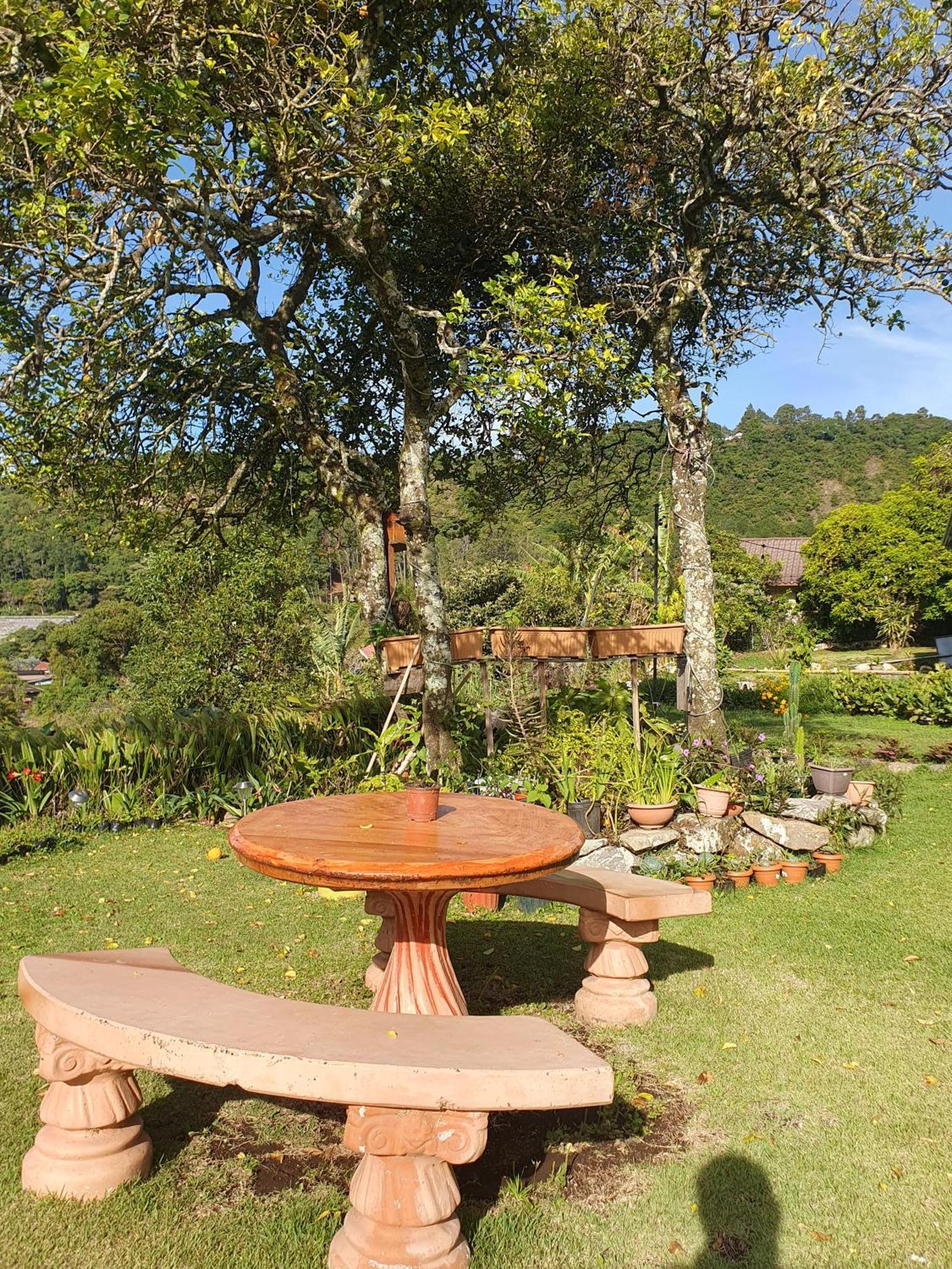 Hostal Vista Boquete Bajo Boquete Luaran gambar