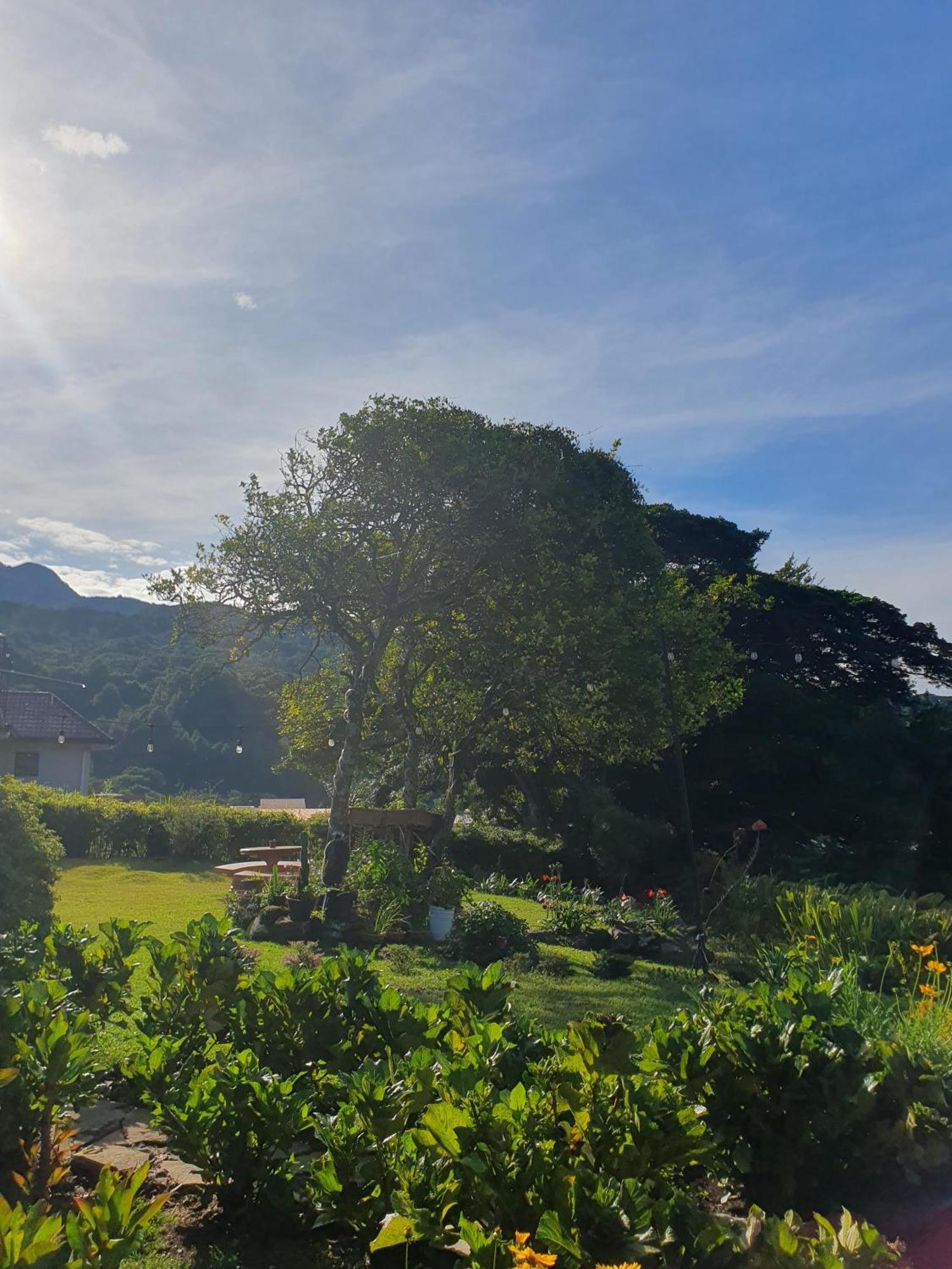 Hostal Vista Boquete Bajo Boquete Luaran gambar